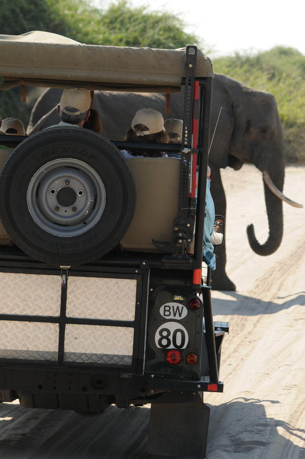 Ngoma Safari Lodge Kavimba Bagian luar foto