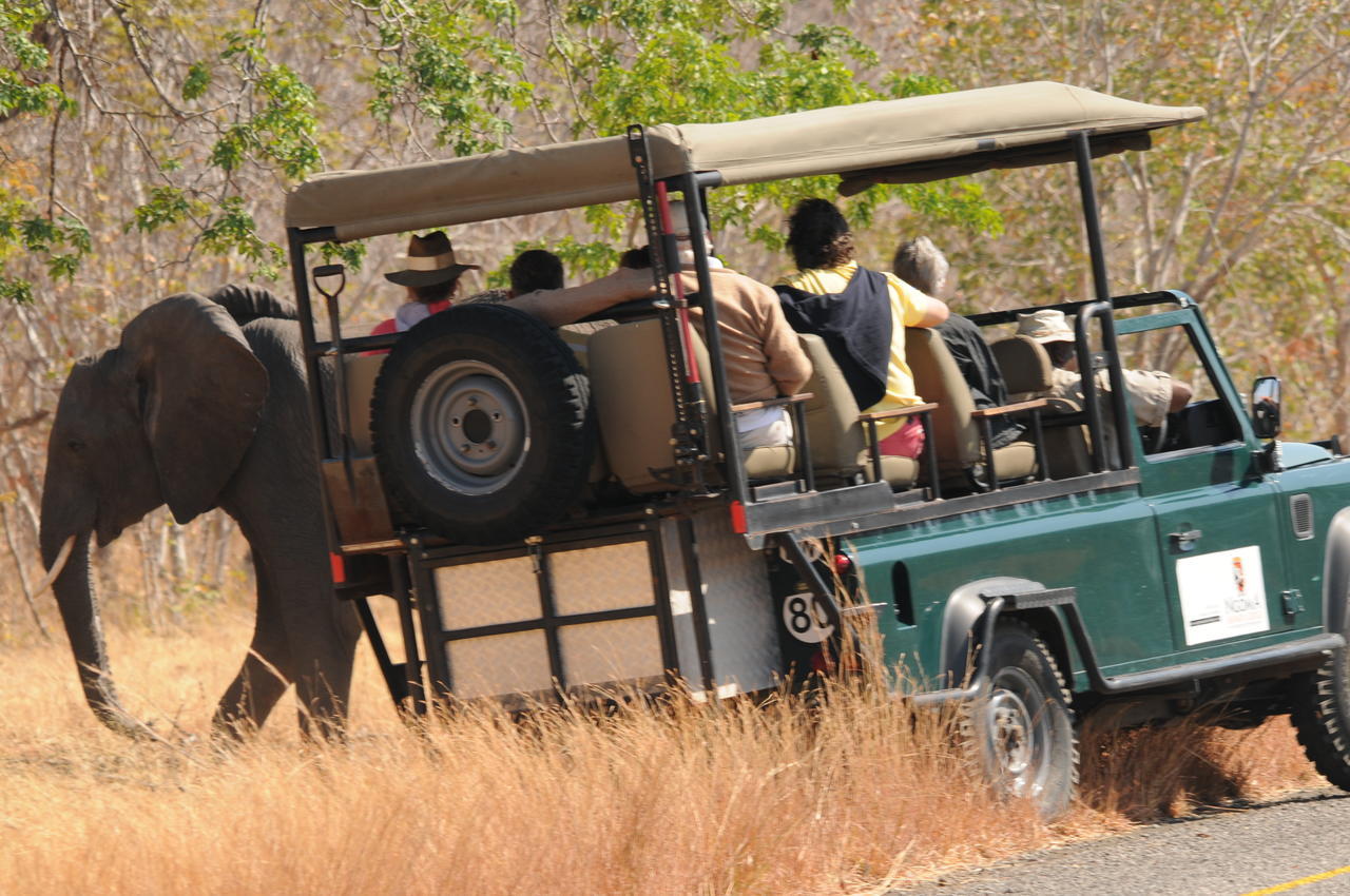 Ngoma Safari Lodge Kavimba Bagian luar foto