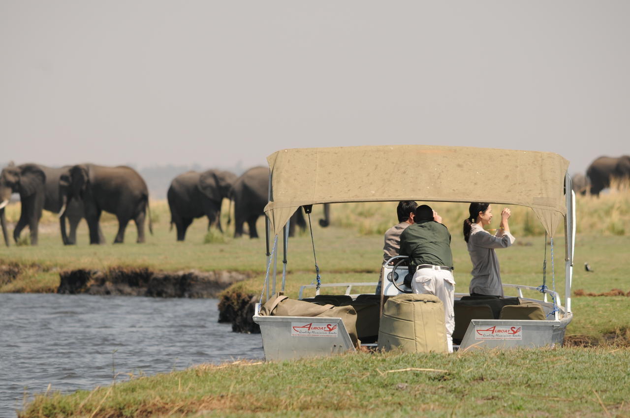 Ngoma Safari Lodge Kavimba Bagian luar foto