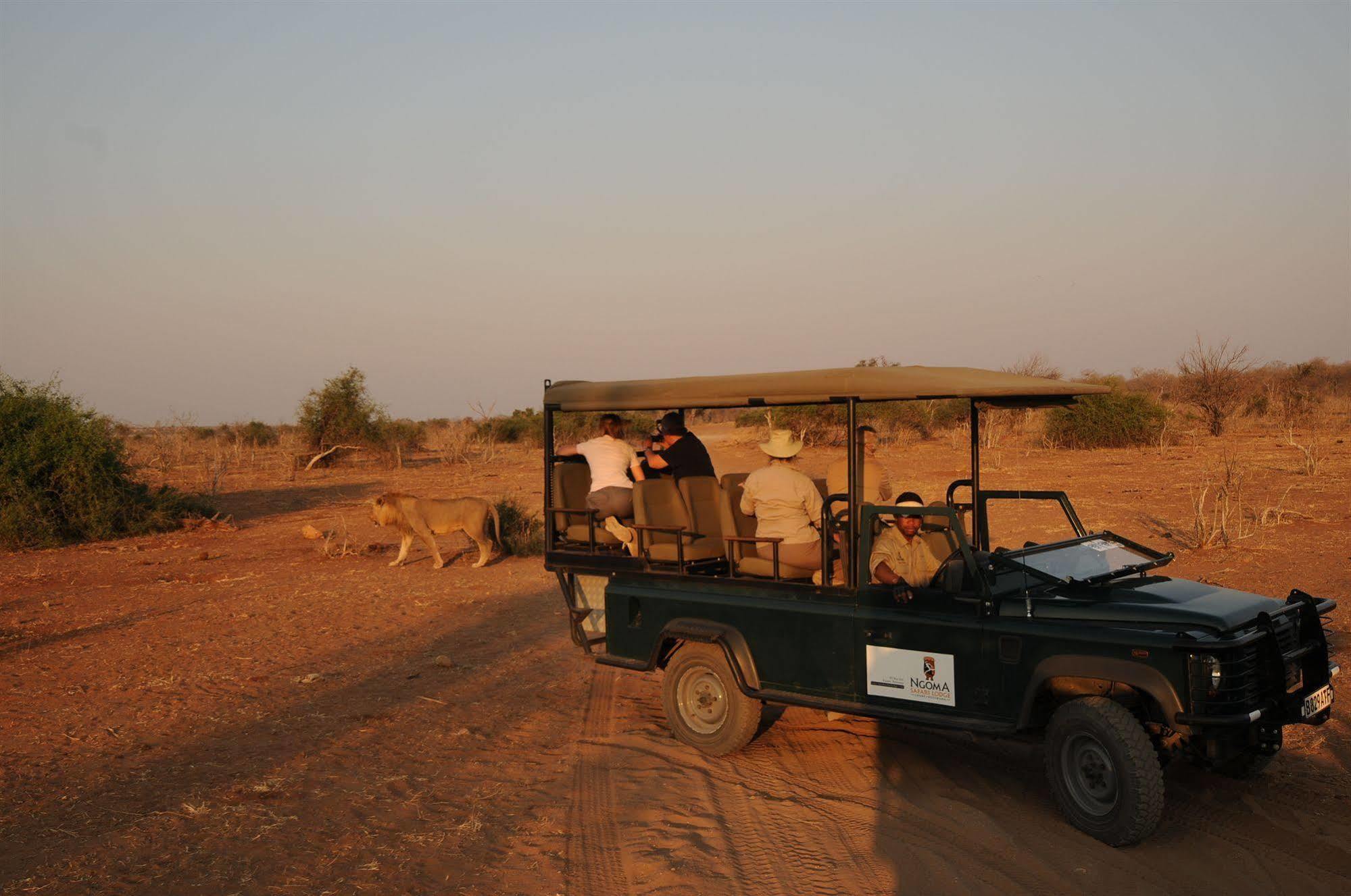 Ngoma Safari Lodge Kavimba Bagian luar foto