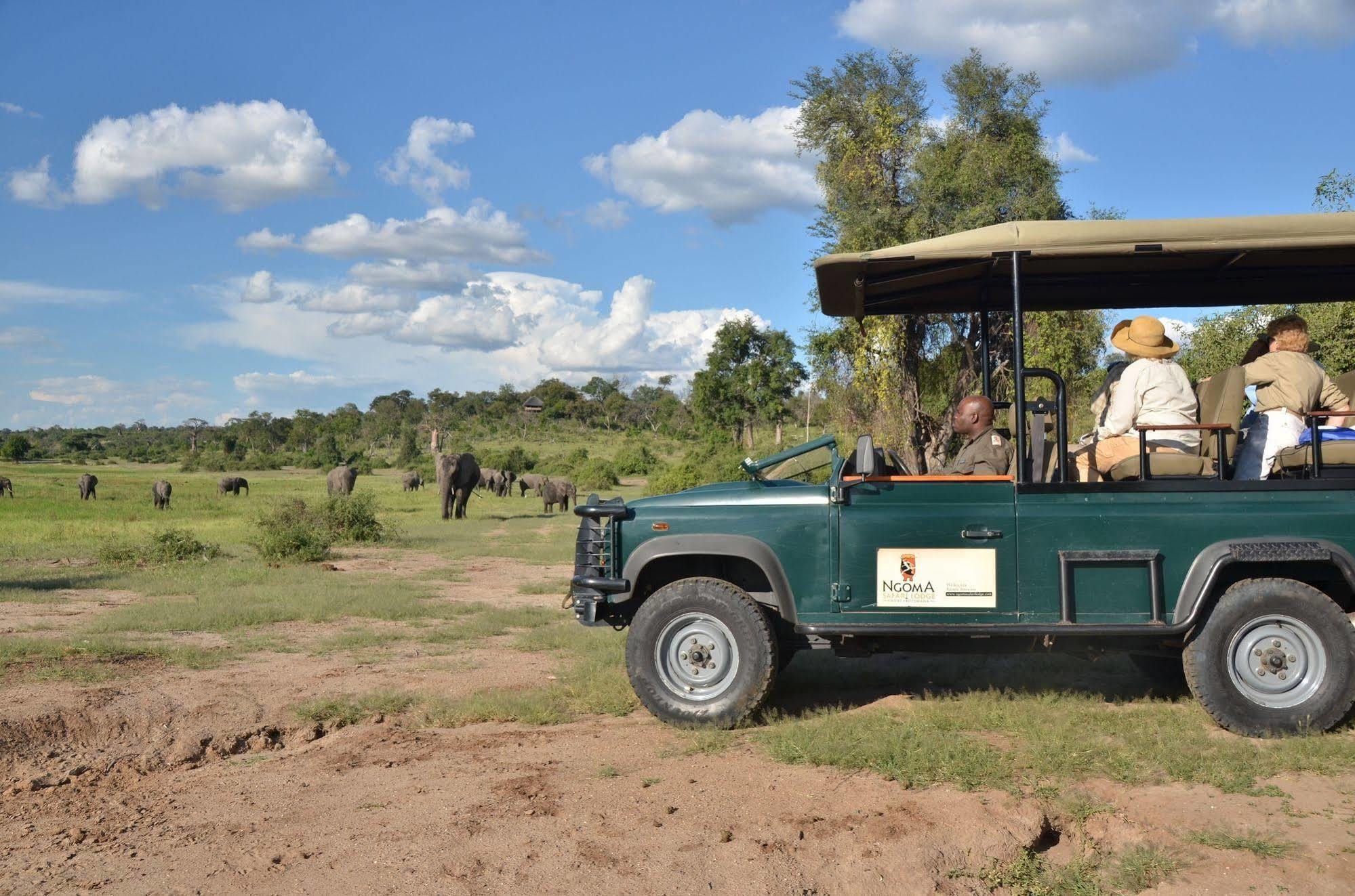 Ngoma Safari Lodge Kavimba Bagian luar foto