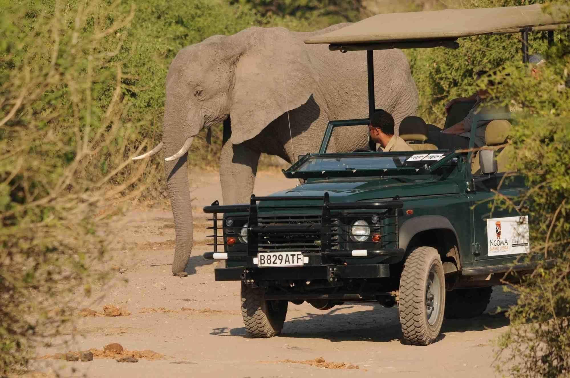 Ngoma Safari Lodge Kavimba Bagian luar foto
